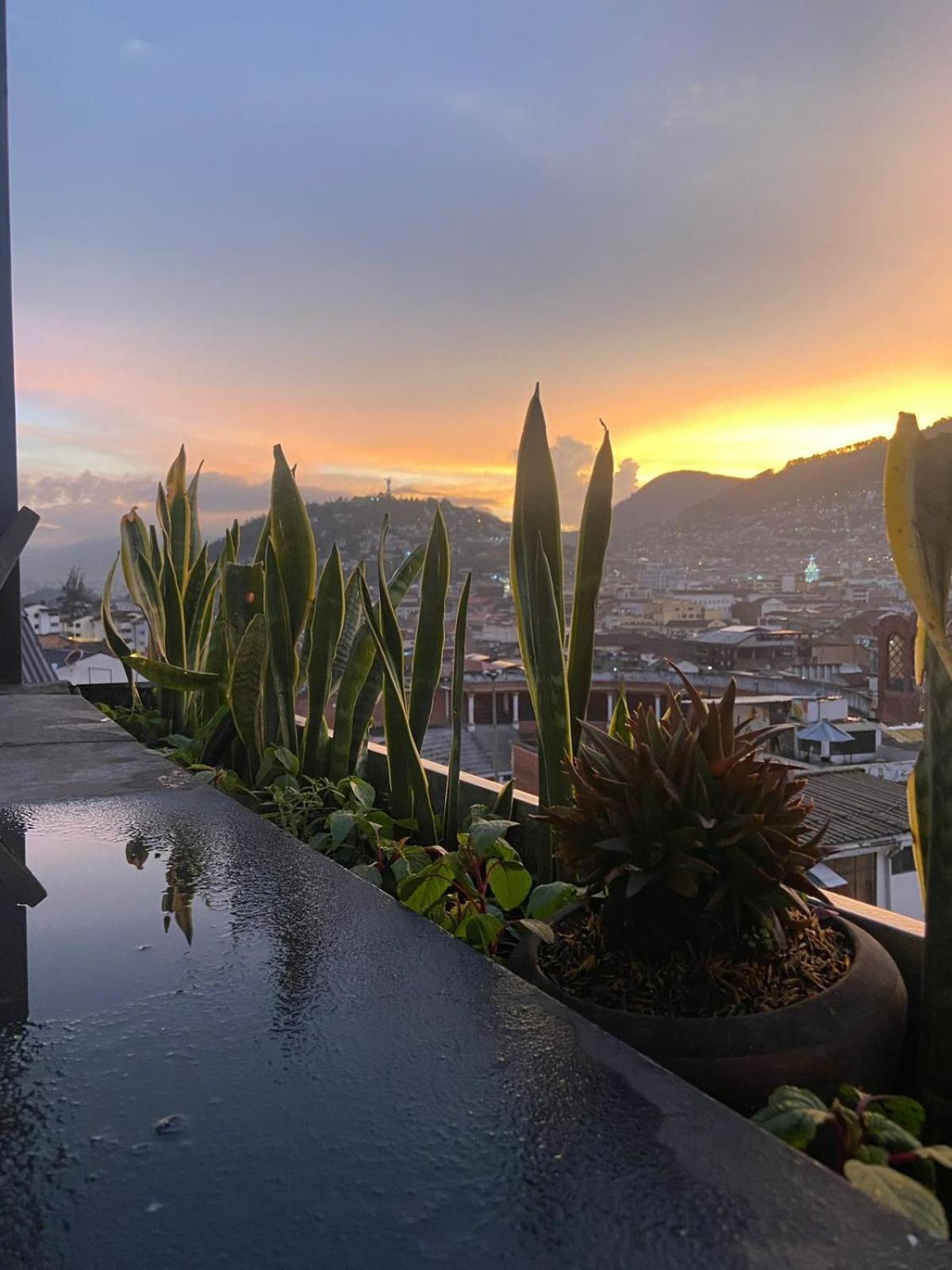 Hostal La Guayunga Rooftop Кито Екстериор снимка